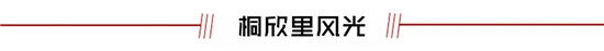 640.webp (27).jpg