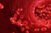 血小板减少症临床研究日益受重视