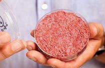 2019��ʳƷ�ȴʹ���